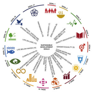 recipe-1940-sri-lanka-ginger-beer-why-choose-us-final-image-good-market-certificate-3