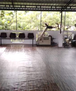 recipe-1940-sri-lanka-our-purpose-ginger-beer-success-story-deenos-fitness-club-4